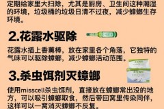 杀蟑胶饵用了半个月还看见蟑螂怎么回事，杀蟑胶饵多久生效？