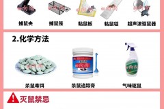 挡鼠板一般在哪里能买到，挡鼠板用在什么地方？