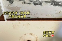 墙面发霉怎么自己翻新要用砂纸打磨下吗，墙面发霉了怎么重新刷？