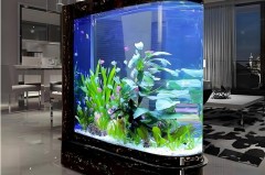 亚克力鱼缸为啥淘汰，亚克力鱼缸为什么淘汰