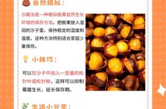 毛栗子怎么储存方法，毛栗子怎么储存不生虫