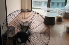 电风扇吹甲醛应该放什么位置，电风扇吹甲醛要摇头吗