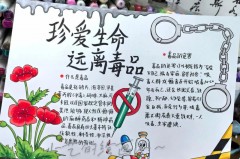 禁毒手抄报内容怎么写，禁毒手抄报内容怎么写?比较好有排版和素材建议？
