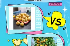 七彩果是什么水果，七彩果是什么东西？