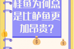 为什么桂鱼比鲈鱼贵，最适合孩子吃的八种鱼？