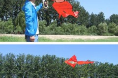 什么风筝适合新手_什么风筝适合新手用