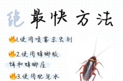 杀蟑胶饵多长时间清理_杀蟑胶饵多长时间清理干净