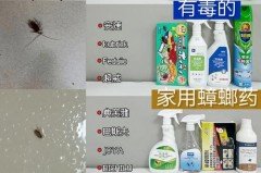 空气清新剂对蟑螂有效吗_空气清新剂能赶走蟑螂吗
