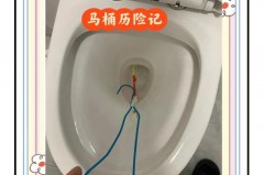 包含刷子掉厕所了能冲下去吗的词条