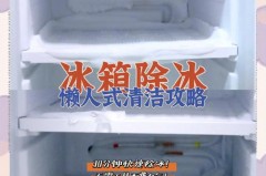 怎么快速解冻冰箱厚冰，怎么快速解冻冰箱厚冰的肉