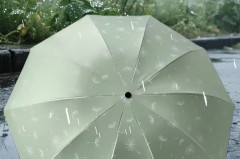 雨伞遮阳有效果吗_雨伞遮阳有效果吗知乎