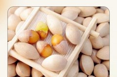 银杏果为什么是臭的，银杏果为什么是臭的实验？