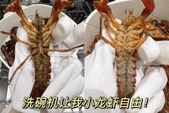 包含洗碗机洗小龙虾干净吗的词条