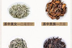 白茶怎么泡才正确方法，古树白茶怎么泡才正确方法？