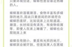 蟑螂胶饵配方乙酰甲胺磷剂量多少是安全的，乙酰甲胺磷和吡虫啉哪个杀蟑螂效果好