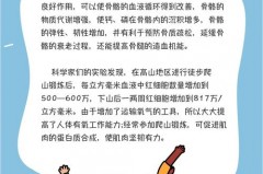 胖子适合穿弹力袜吗_胖子可以穿lo吗