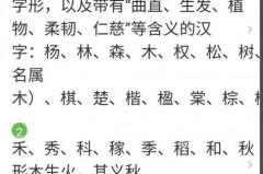 暻字取名的含义是什么，璟和暻哪个字取名好？