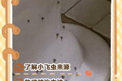 洗手台会跳的小黑虫哪里来的_洗手台突然出现好多小虫子怎么办