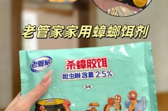 蟑螂吃了饵剂会乱爬吗_蟑螂死了会招来蟑螂吗