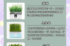 化毛膏和猫草可以同时吃吗_化毛膏和猫草片