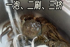 洗螃蟹为什么要放白酒，清洁螃蟹的注意事项，洗螃蟹为什么要放白酒,清洁螃蟹的注意事项有哪些？