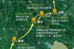 云南亚洲象群北迁的原因，云南北移亚洲象群持续向东南方向移动