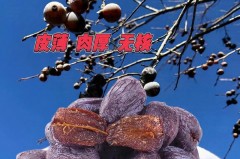 枣庄为什么叫枣庄，枣庄为什么改名