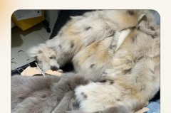 皮草衣服可以用空气洗吗，皮草外套可以空气洗吗？