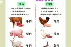 红肉和白肉分别指的是什么肉?，红肉和白肉的区别在哪里