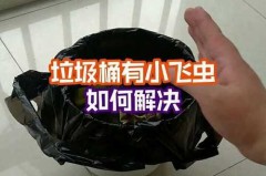 怎么治理垃圾桶里的小飞虫，怎样除垃圾桶里的小飞虫？