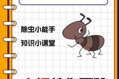 住一楼蚂蚁特别多怎么办_住一楼蚂蚁特别多怎么办啊
