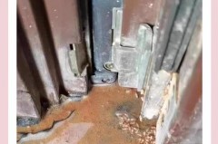 门框被白蚁蛀了如何修复_家里门框蛀了是白蚁引起的吗