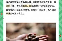 为什么修正液气味上瘾，修正液闻多了会得什么病？