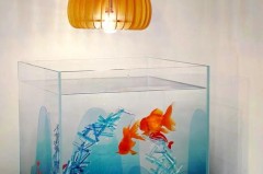 亚克力鱼缸好还是玻璃鱼缸好，亚克力鱼缸与玻璃鱼缸的区别