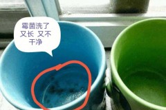 刷牙杯里会生蛆吗，刷牙杯下面长有虫是什么虫