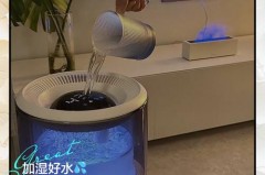 加湿器用什么水，寄居蟹加湿器用什么水