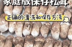 松茸为什么不能水洗，松茸不能沾水？