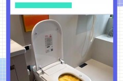 包含小女孩可以用智能马桶冲洗吗的词条