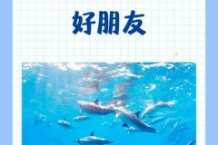 海豚为什么亲近人类_海豚为什么会亲人
