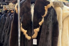 貂皮大衣寿命几年，貂皮大衣寿命几年正常