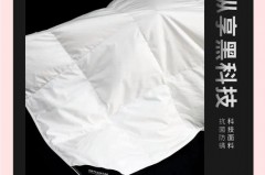 挂烫机可以在床上烫被套吗_挂烫机可以在床上熨烫衣服吗