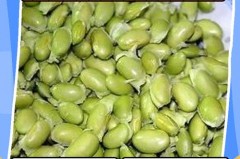 新鲜毛豆米长期保鲜方法，新鲜毛豆米怎样保存时间更长