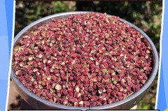 干花椒的长期保存方法_花椒晒干的正确方法