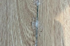 强化地板容易受潮发霉吗，强化地板容易受潮发霉吗为什么