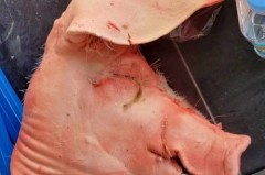 挂烫机三角头好还是平头好，挂烫机头怎么安装视频