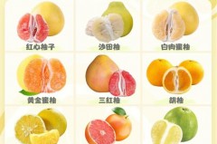 西柚是什么水果，西柚是什么水果怎么吃比较好