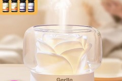 普通加湿器是否不能加精油，加湿器不可以加精油