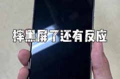 iphone12开机闪logo是硬件坏了么，iphone12开机闪logo正常吗