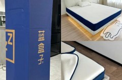 蓝盒子和菠萝斑马哪个好，蓝盒子和菠萝斑马哪个好看