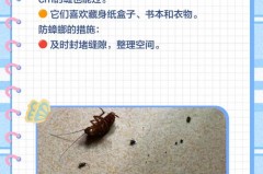 家里好多小蟑螂是什么原因，家里好多小蟑螂是什么原因造成的